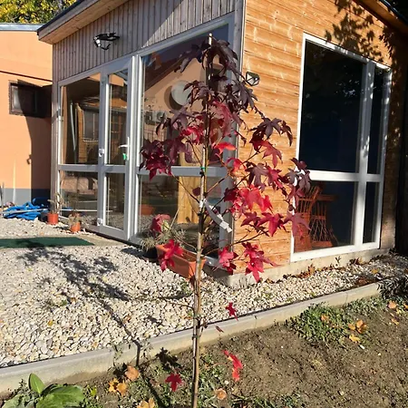 Babér Balatonakarattya Balatonkenese